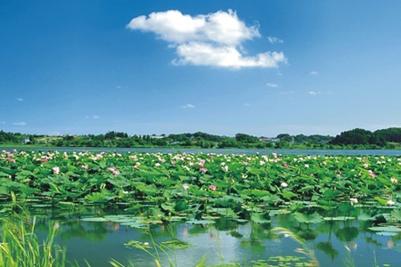 毛集农业生态旅游景区