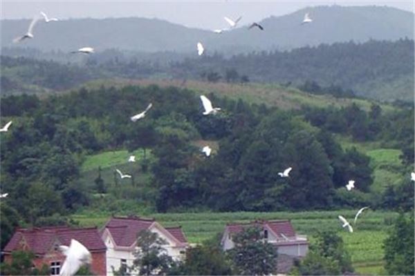 芜湖和平生态旅游区