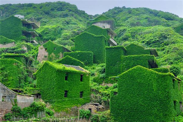 嵊山枸杞景区