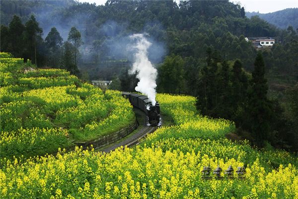 俺老孙农业观光区